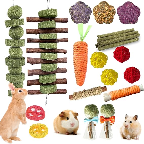 WDEFUN 21PCS Rabbit Chew Toys for Teeth Grinding, Natural Timothy Hay Cakes Treats for Bunny, Organic Apple Wood Sticks Toy Set for Guinea Pigs, Hamsters, Chinchillas,Dental Health & Boredom Relief