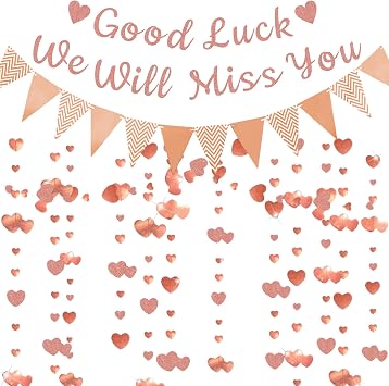 We Will Miss You Banner - Rose Gold Going Away Party Decorations Good Luck Banner Pennant Garland for Graduation Farewell Retirement Goodbye Coworker Leaving Party Decoration Supplies