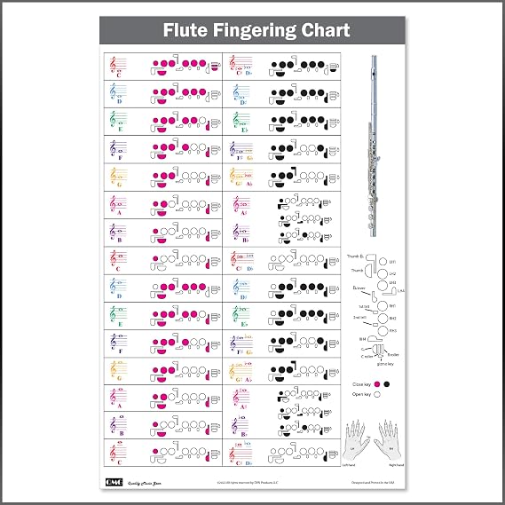 Flute Fingering Chart with Color-Coded Notes, Learn Flute Technique Suitable for All Levels, Made in the USA