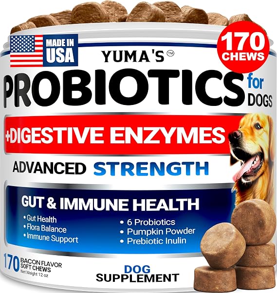 Probiotics for Dogs and Digestive Enzymes - 170 Dog Probiotics Chews - Dog Probiotic - Anti Diarrhea, Upset Stomach & Gas Relief, Canine Prebiotic - Pet Fiber Supplement - Bacon Flavor