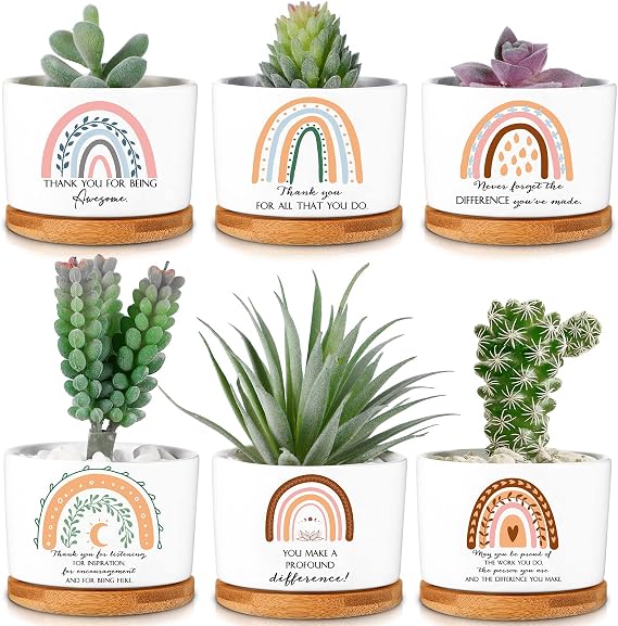Sieral 6 Pcs Teacher Appreciation Gifts Bulk Ceramic Succulent Pot Boho