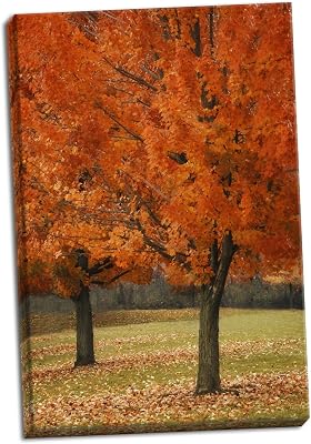 Gango Home Décor Splash of Color I, Fine Art Photograph by: Vitaly Geyman; One 24x36in Hand-Stretched Canvas