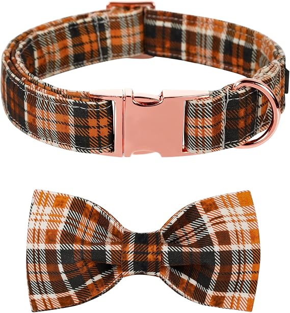 Lionet Paws Dog Collar with Bowtie, Autumn Bowtie for Dogs and Cats, Adjustable Comfortable Dog Collar Girl Boy, XS, Neck 20-30cm