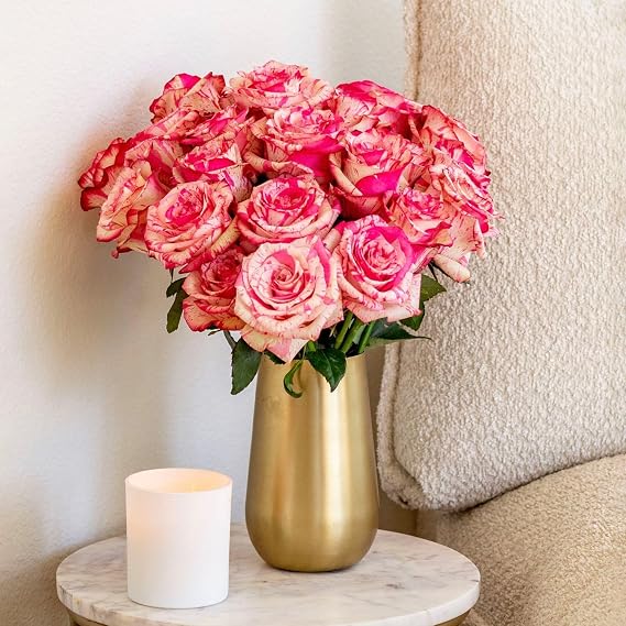 BloomsyBox - Bicolor Roses - 24 Long Stems,Long Lasting, Hand-Tied in Eco-friendly,Vase Not Included, Fresh Flowers for Delivery Gift for Birthday, Anniversary,Congratulations, Wedding