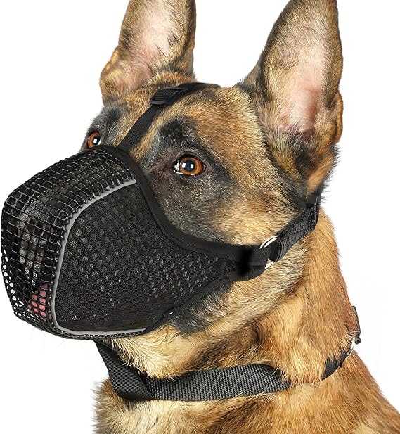 Mayerzon Mesh Dog Muzzle with Collar for Medium Large Dogs Anti Scavenging | Reflective for Nighttime Walks, Soft & Breathable, Anti Biting Chewing Eating, Grooming Training Use, Allows to Drink | XS