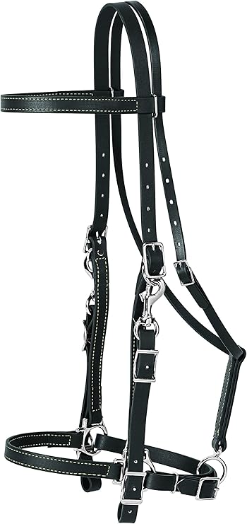 Weaver Leather Brahma Webb Halter Bridle, Black