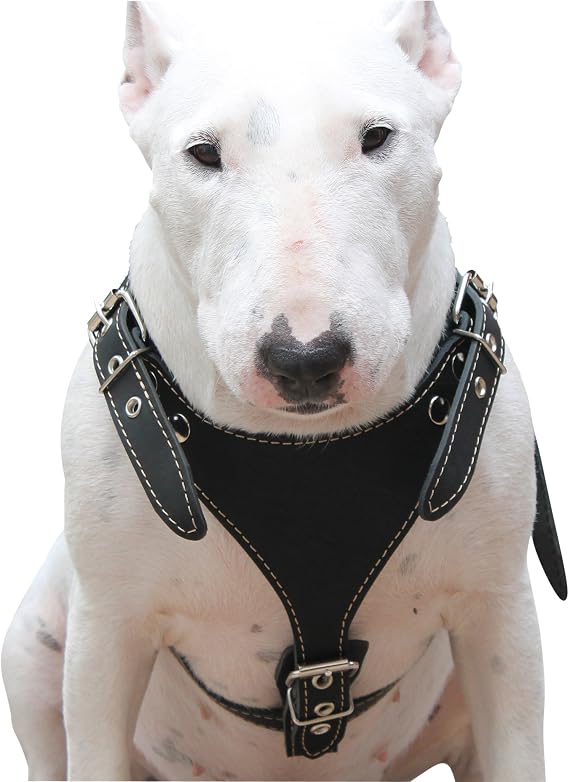 Dogs My Love Black Genuine Leather Dog Harness, Medium. 25"-30" Chest, 1" Wide Adjustable Straps