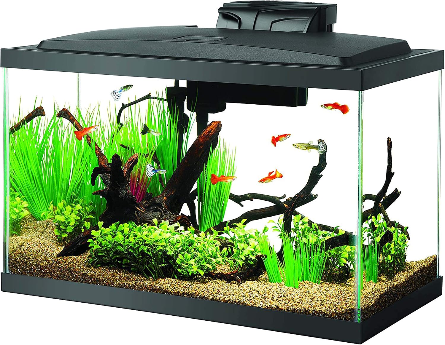 Aqueon Background LED Light Kit, 10 gallon