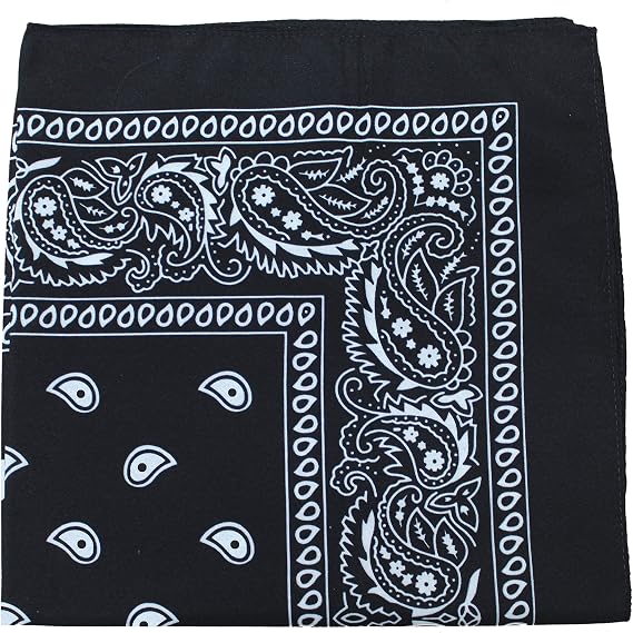 Balec Paisley 100% Polyester Unisex Bandanas - 40 Pack - Bulk Wholesale