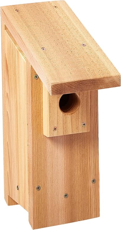 Stovall 2H Bluebird House