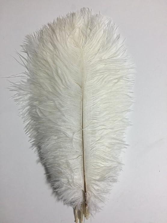 XZEN 9.9"-11.8" Ostrich Feather Plume Decoration DIY Craft Pack of 25PCS (White)