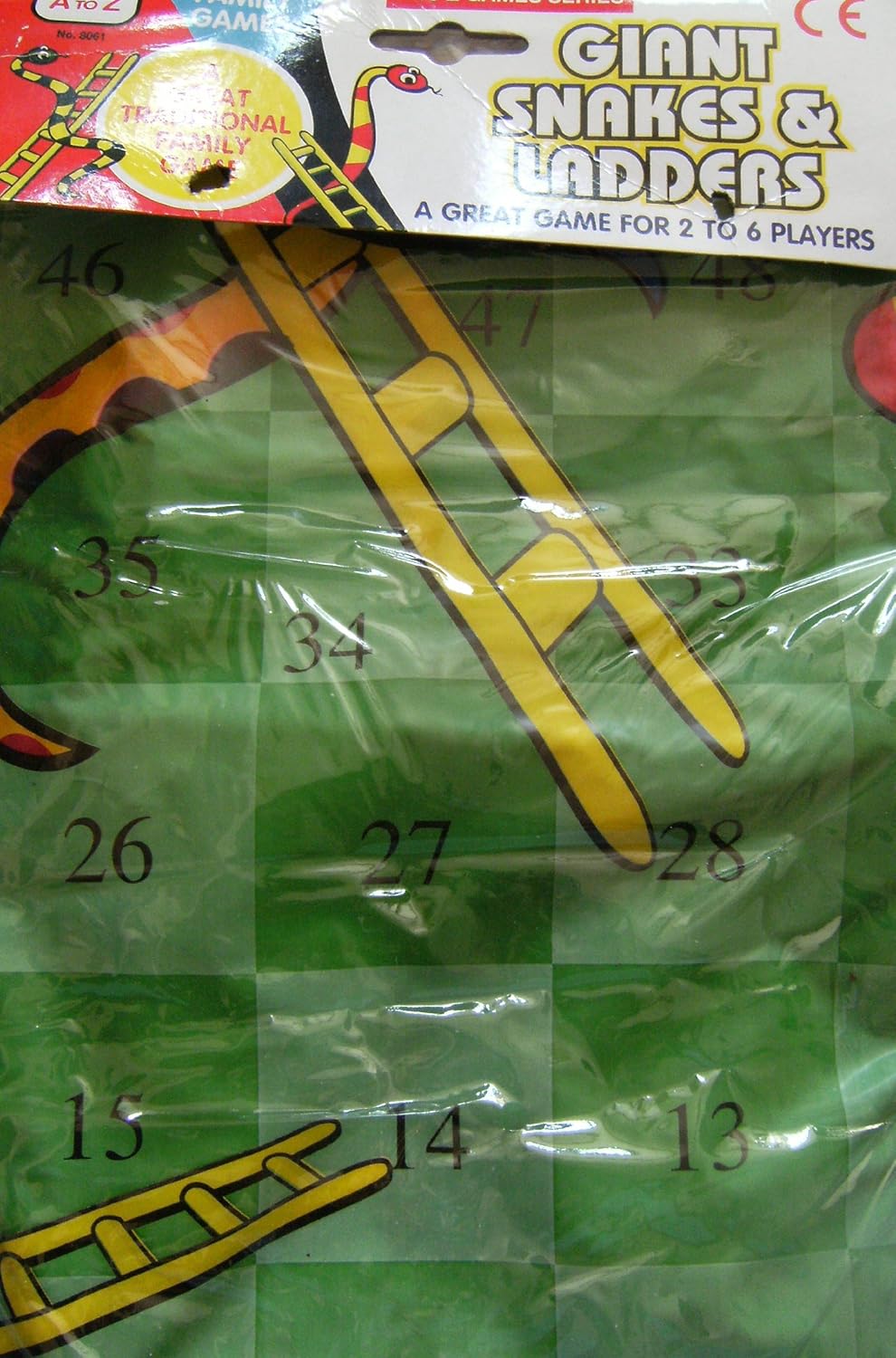 Giant Snakes And Ladders Game by A to Z