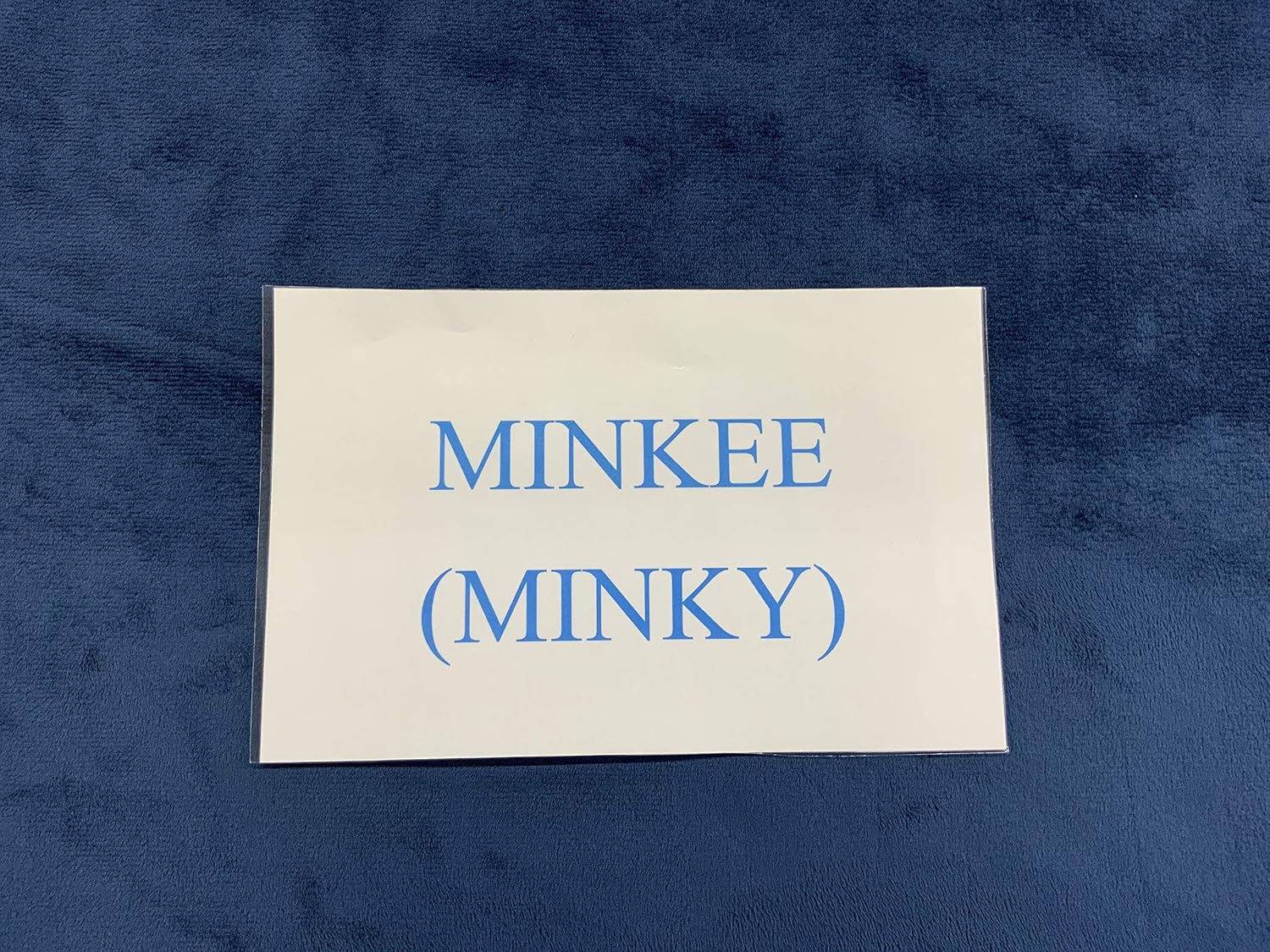 60 Wide Shannon Fabrics Minky Solid Cuddle 3 Navy