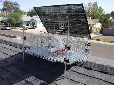 D&S Specialty Products Ultimate Pigeon Trap - Professional Model